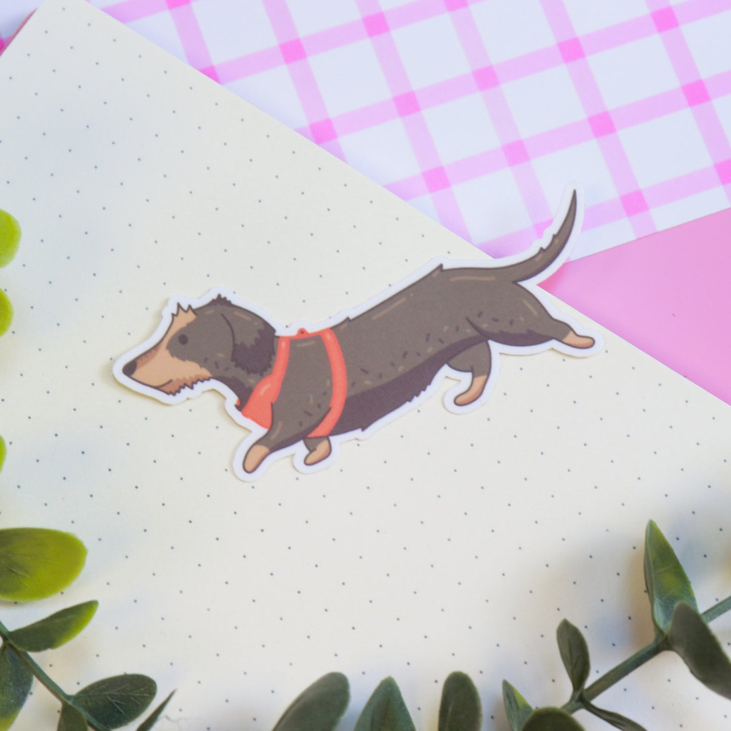 Otis (Wire Haired Dachshund) Sticker